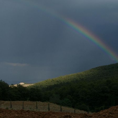 Agriturismo La Provenca Chianciano Terme Luaran gambar