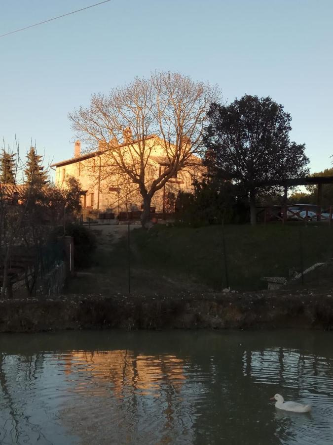 Agriturismo La Provenca Chianciano Terme Luaran gambar