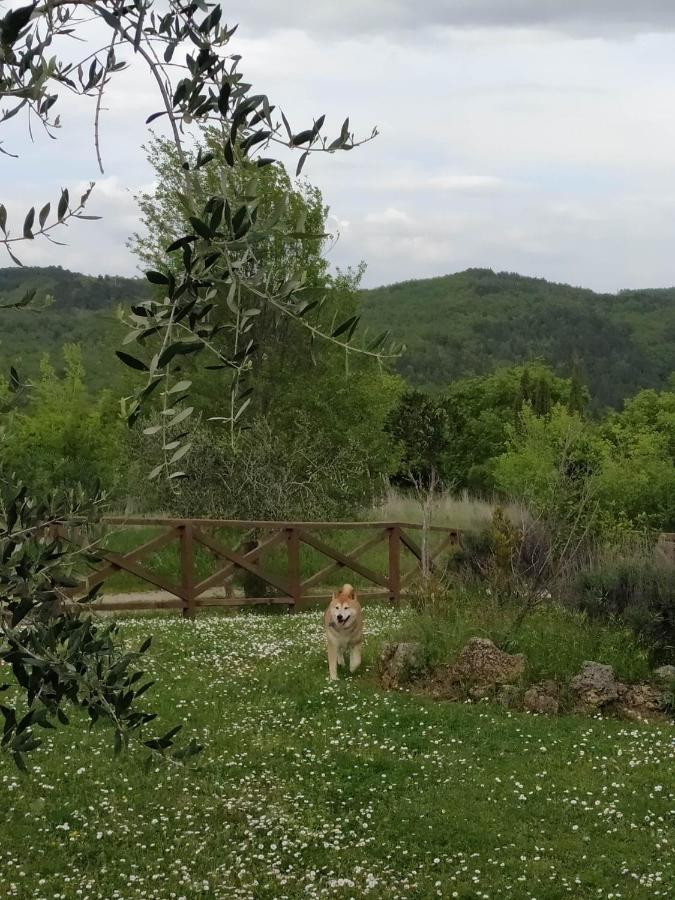 Agriturismo La Provenca Chianciano Terme Luaran gambar