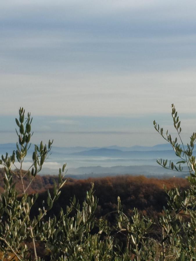Agriturismo La Provenca Chianciano Terme Luaran gambar