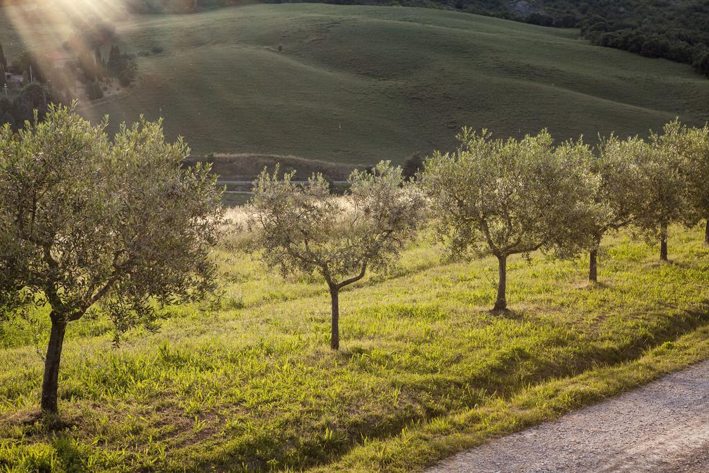 Agriturismo La Provenca Chianciano Terme Luaran gambar