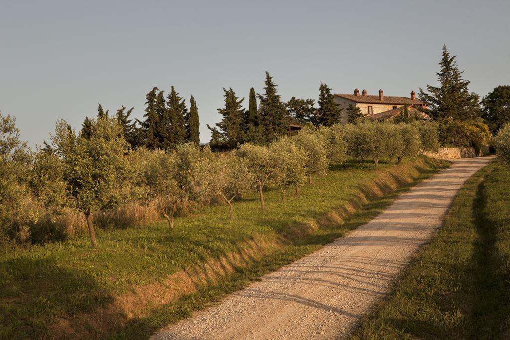 Agriturismo La Provenca Chianciano Terme Luaran gambar