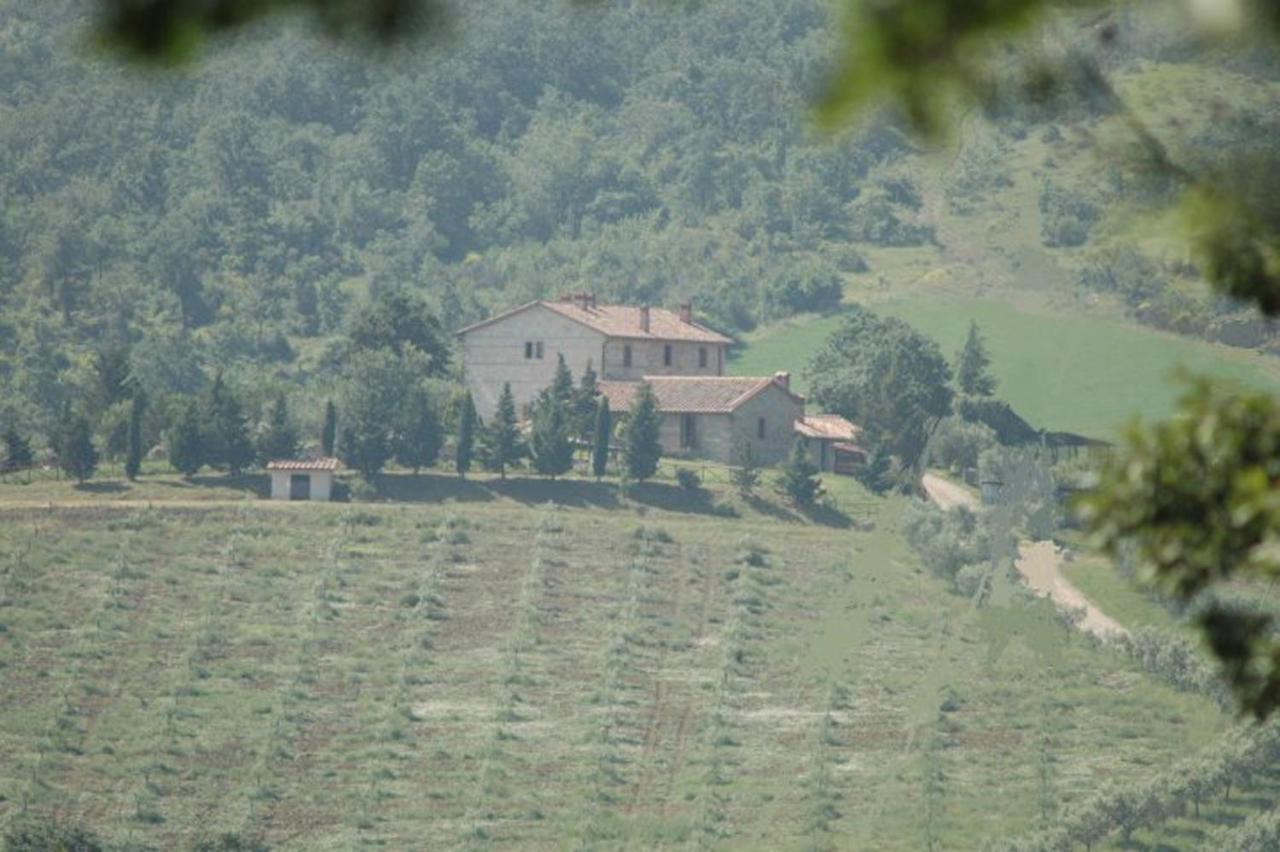 Agriturismo La Provenca Chianciano Terme Luaran gambar